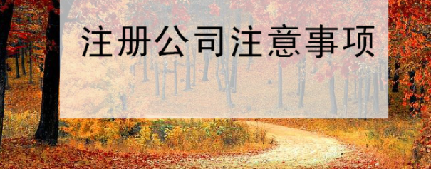 注冊(cè)公司注意事項(xiàng)